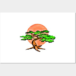 Miyagi Bonsai Tree Drawing Posters and Art